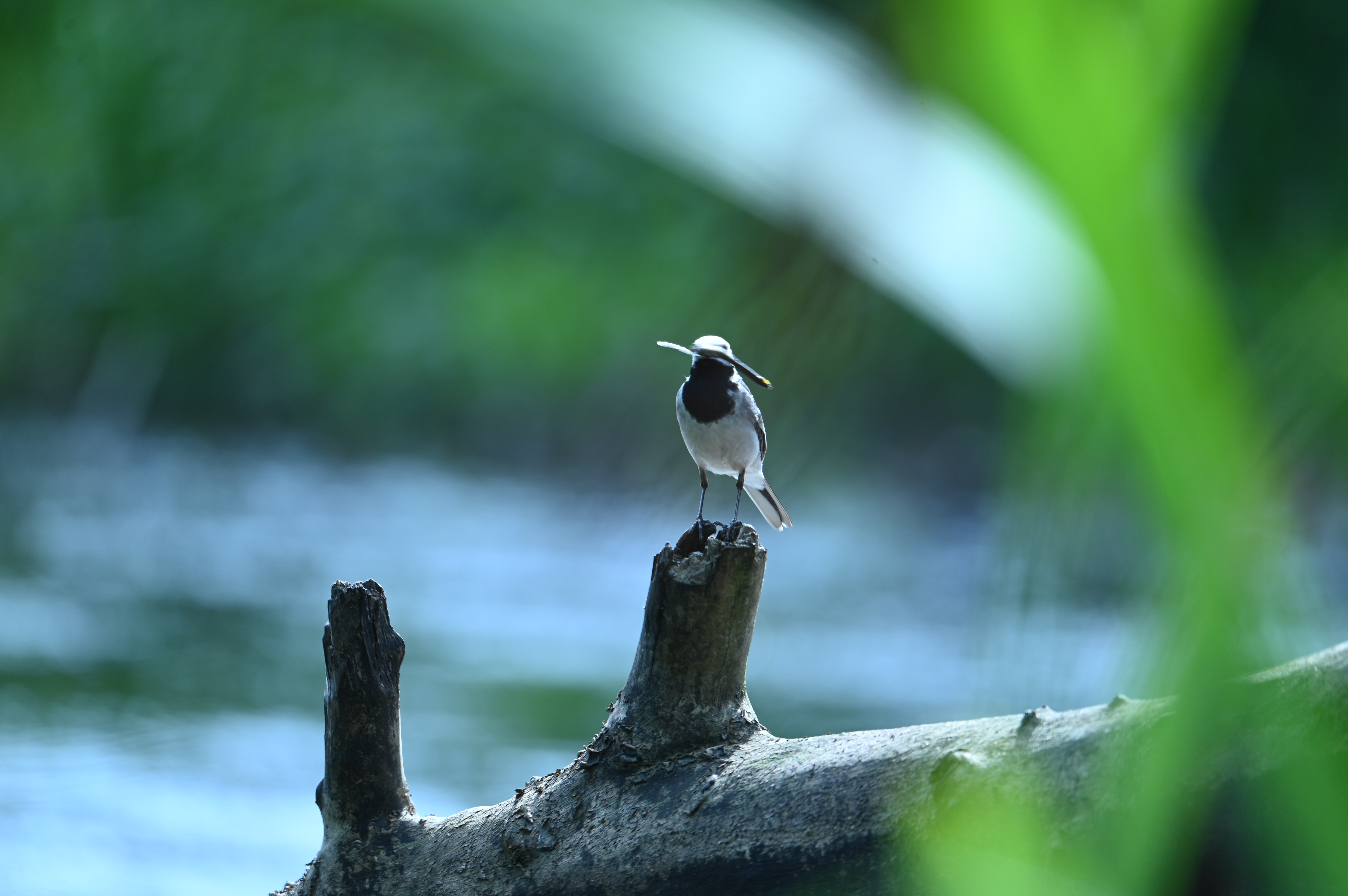 2025/07/09-14 - trip/DSC_0473.JPG